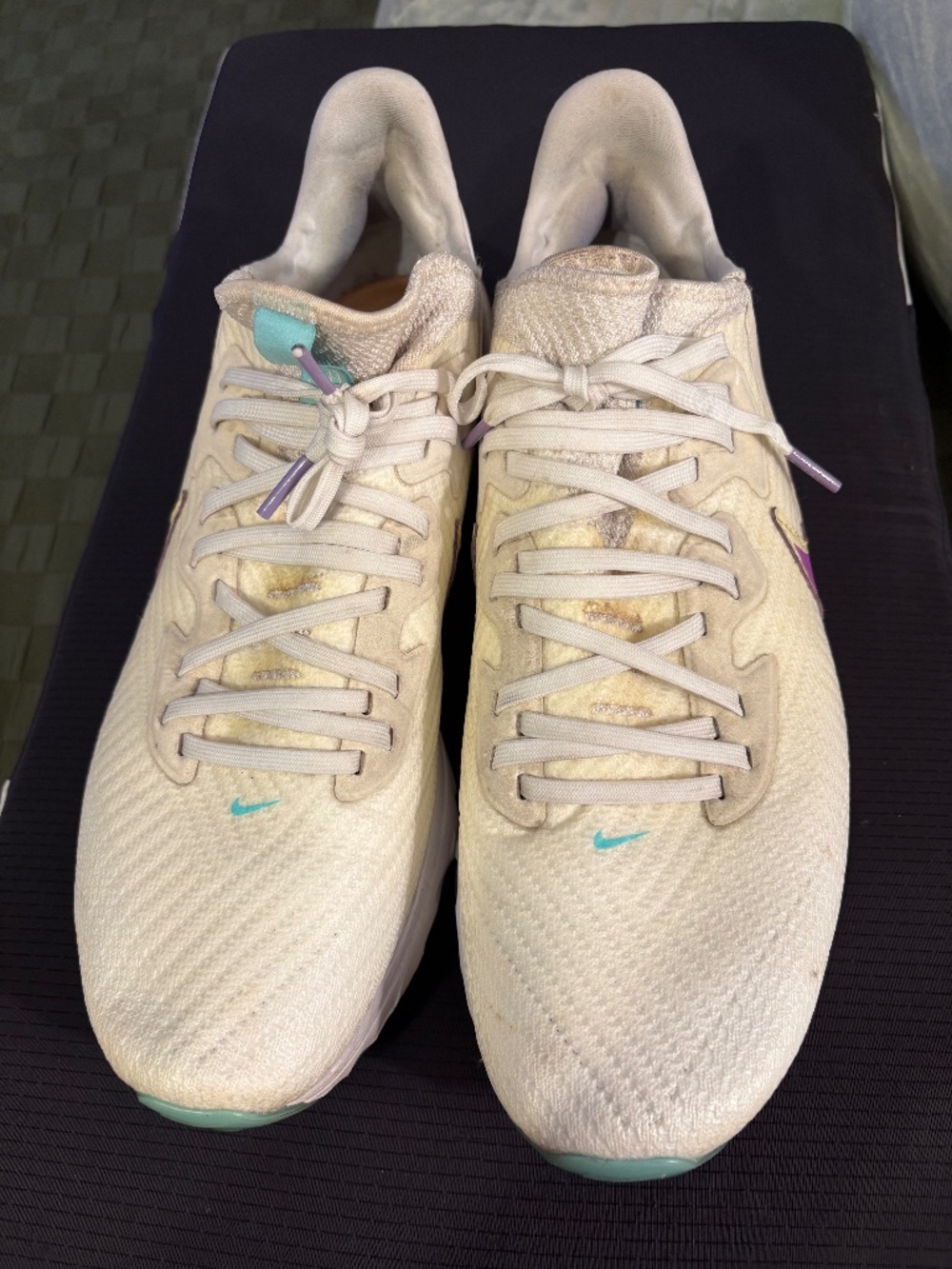Nike Air zoom Sneakers